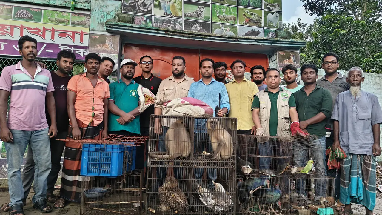 মেহেরপুরে মনোরমা মিনি চিড়িয়াখানায় অভিযান, ২৭ বন্যপ্রাণী উদ্ধার
