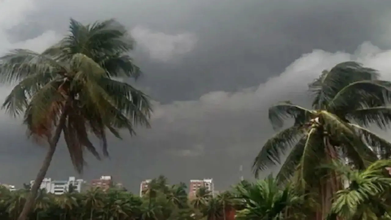 বজ্রপাত ও কালবৈশাখী ঝড়ে ১২ জন নিহত