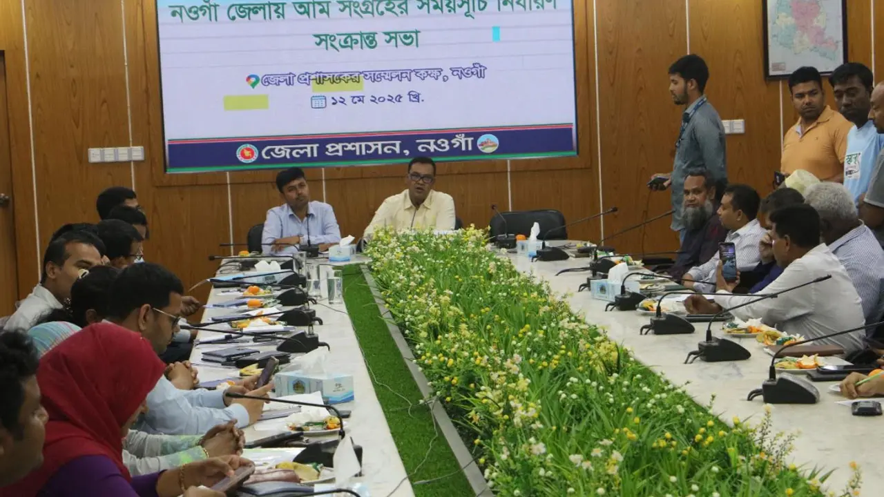 ২২ মে থেকে বাজারে দেখা মিলবে নওগাঁর আম