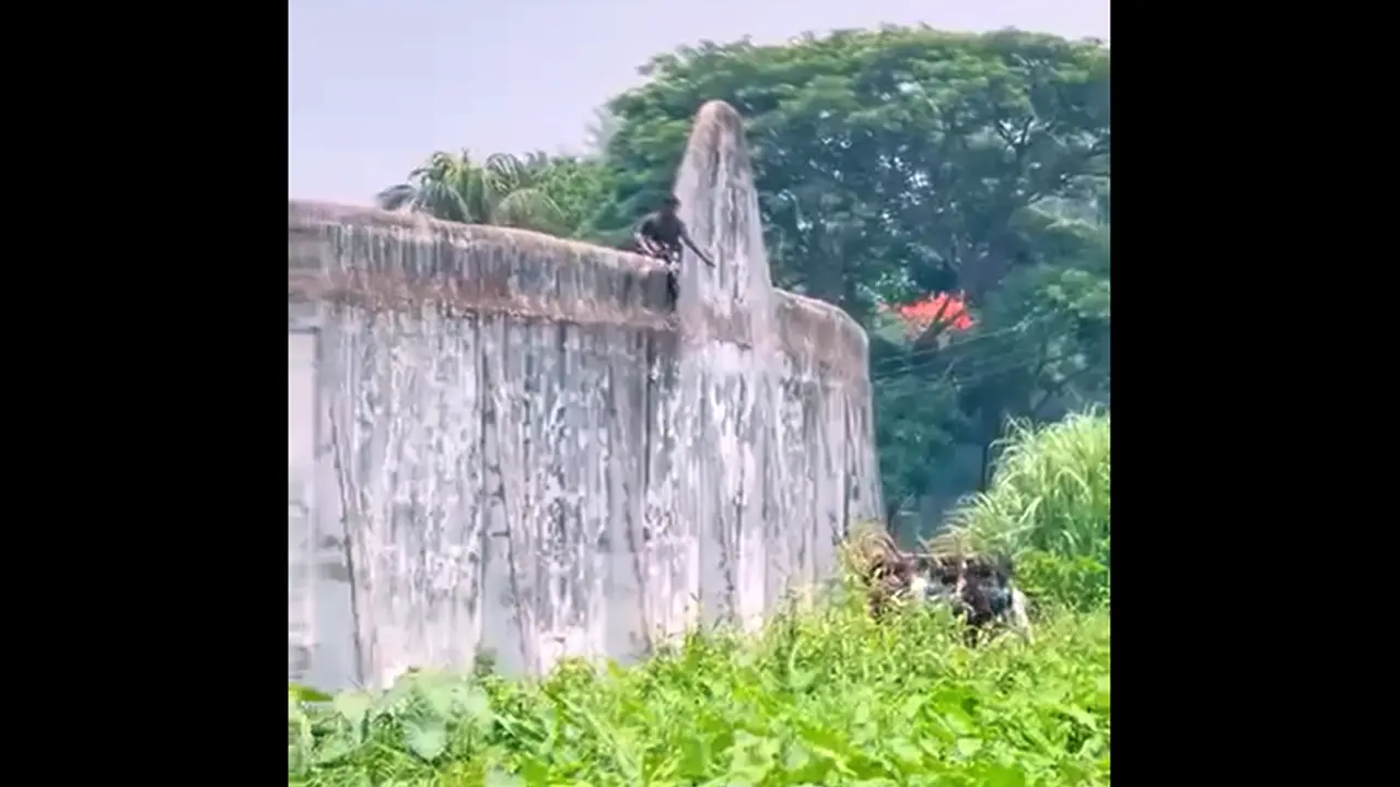 কারাগারের দেয়াল টপকে পালানোর চেষ্টা, ভিডিও ভাইরাল