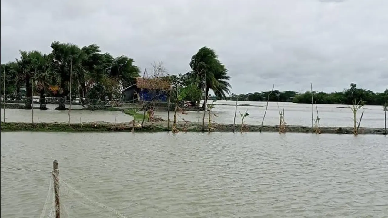 নোয়াখালীর উপকূলে বৃষ্টি-দমকা হাওয়া, বন্যার শঙ্কা
