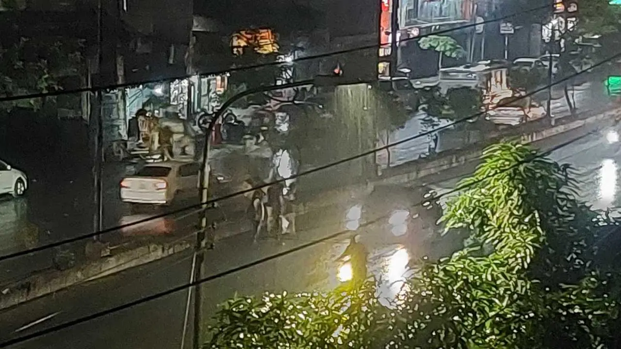রাজধানীতে নামল স্বস্তির বৃষ্টি