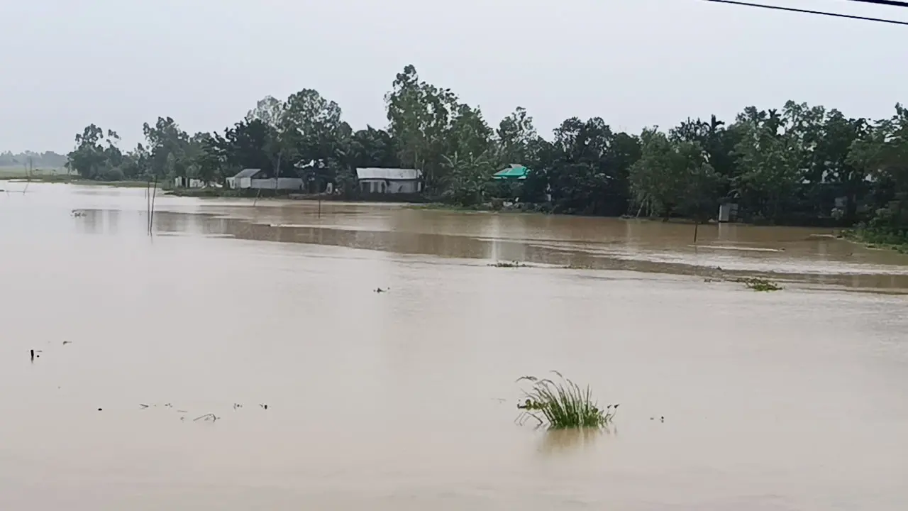 শেরপুরে বাড়ছে নদ-নদীর পানি, নিম্নাঞ্চল প্লাবিত হওয়ার শঙ্কা