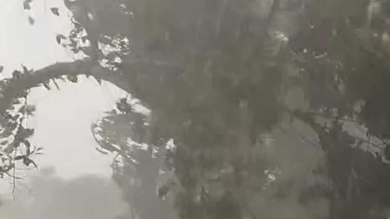 দেশের বিভিন্ন জায়গায় বৃষ্টি হয়েছে