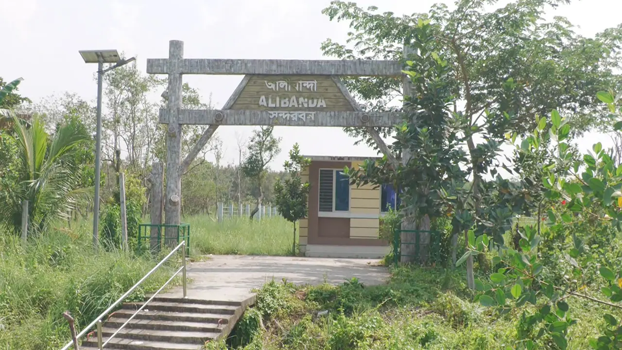 সুন্দরবনের আলীবান্দা ইকো ট্যুরিজম কেন্দ্র খুলছে, উচ্চ রাজস্বে ক্ষোভ