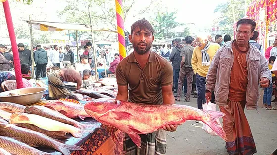 নবান্নকে ঘিরে বগুড়ায় মাছের মেলা, দাম বেশি