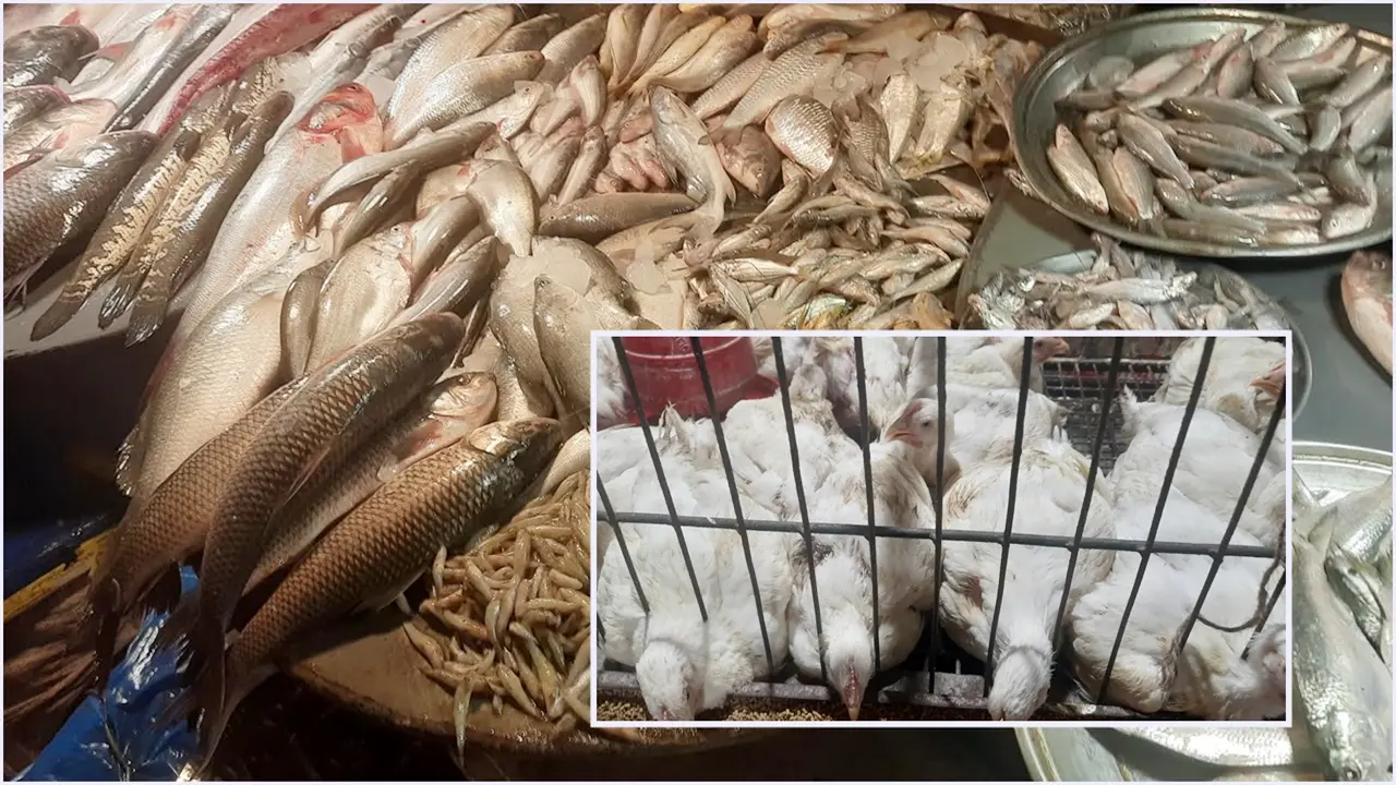 এক সপ্তাহে ব্রয়লারের দাম বাড়ল ২০ টাকা, মাঝারি ইলিশ ১৫০০