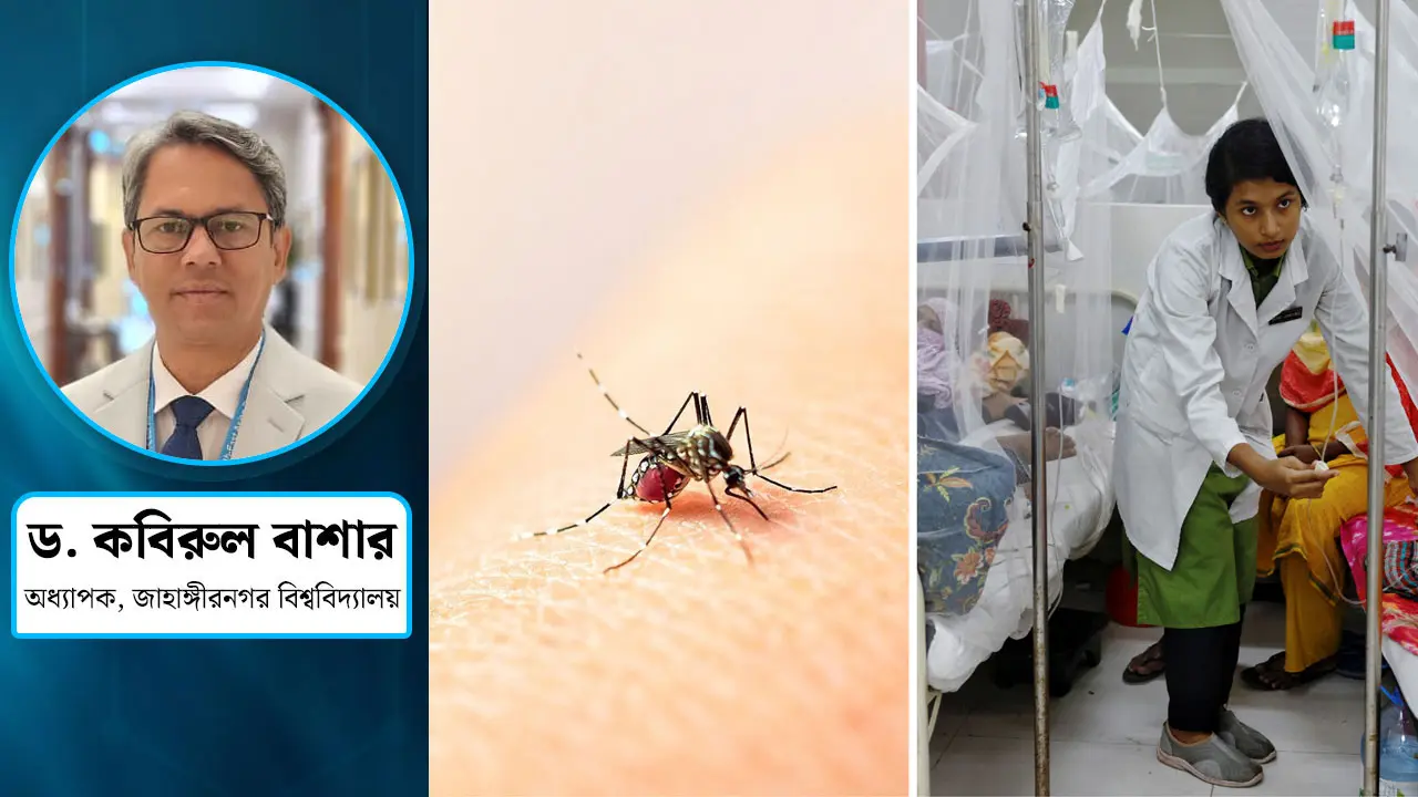 কমছে না ডেঙ্গু, বাড়ছে মৃত্যু, সমাধান কোথায়?