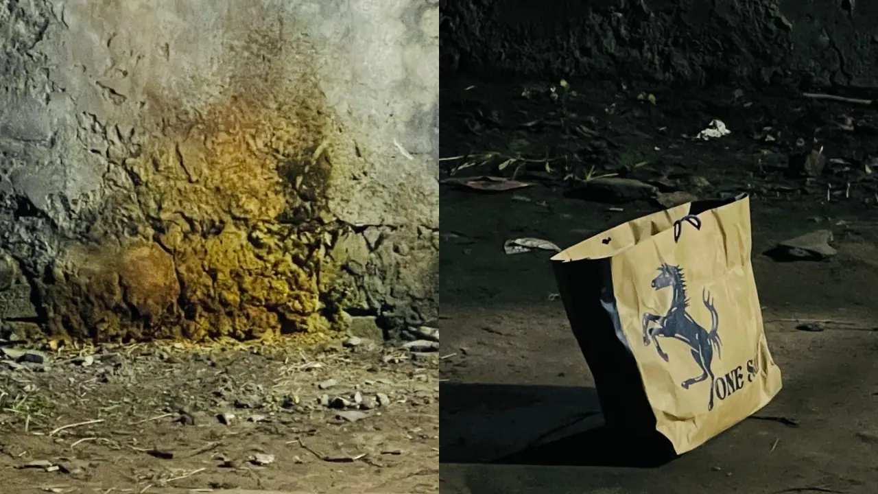 দারুস সালামে বিস্ফোরণ, দুটি ককটেল উদ্ধার