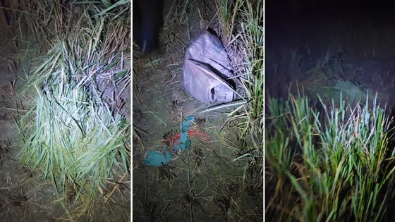 রাতের আঁধারে ধান চুরির চেষ্টা, হাতেনাতে ধরা