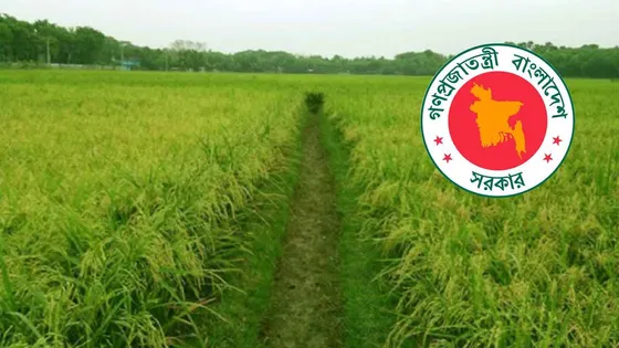 কৃষিজমি বাণিজ্যিক আবাসন বা অকৃষিকাজে ব্যবহারে পেতে হবে শাস্তি