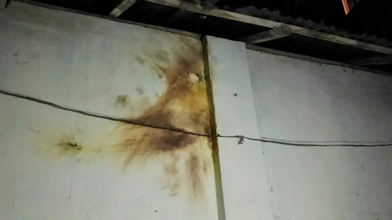 শরীয়তপুরে এনসিপি নেতার অফিসে ককটেল হামলা
