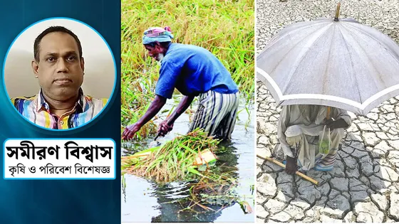 বৃষ্টি-খরার দোলাচলে কৃষকের যুদ্ধ চলে