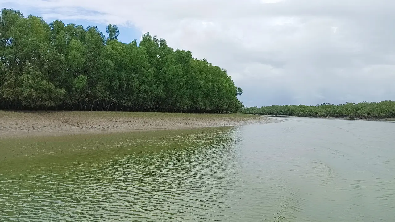 সুন্দরবনে আবারও জেলের মৃত্যু, ছয় মাসে প্রাণ গেছে তিনজনের