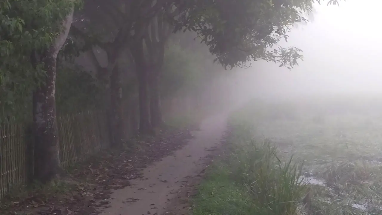 পঞ্চগড়ে শীতের আগমনী হাওয়া, তাপমাত্রা নামল ১৪ ডিগ্রিতে