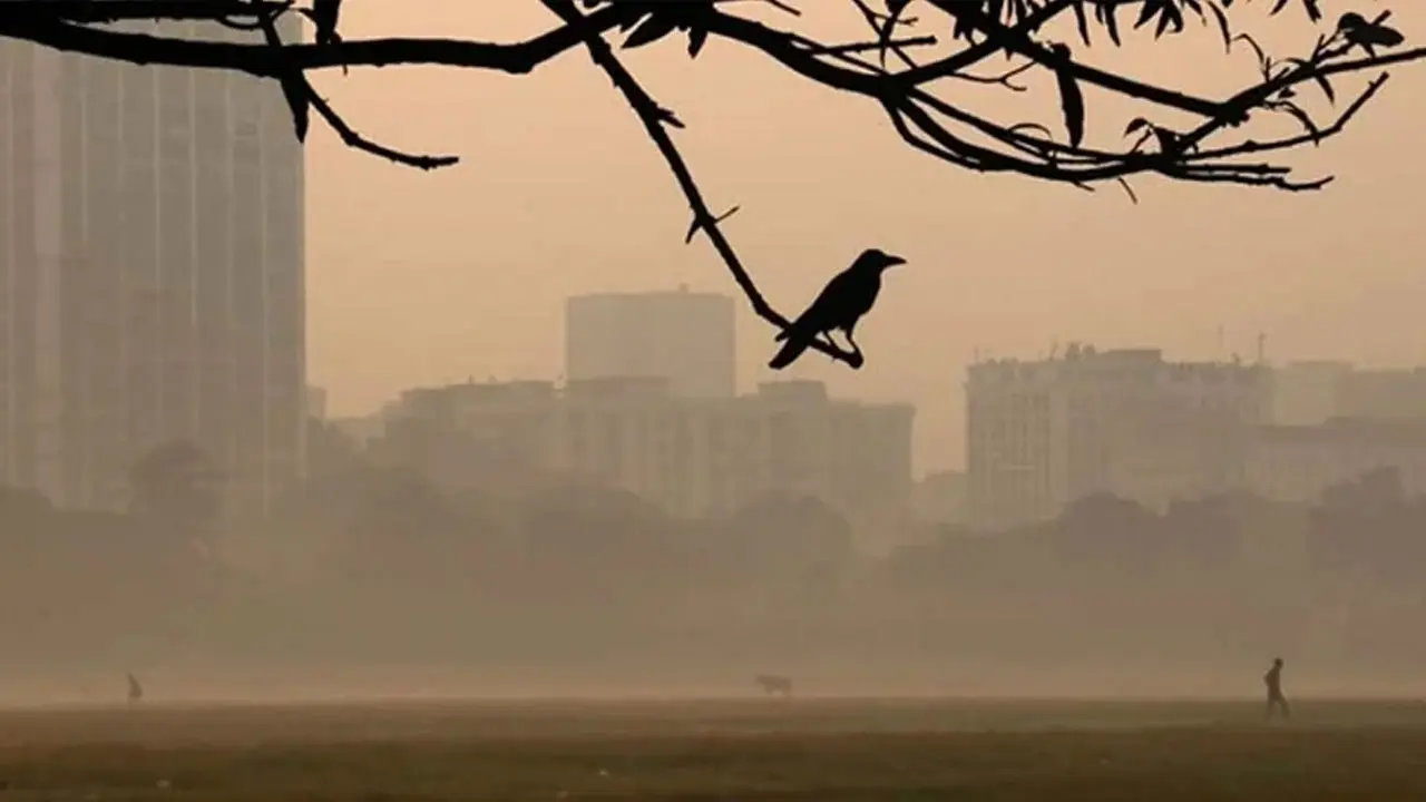 উত্তরাঞ্চলের পর ঢাকায় শীতের প্রবেশ