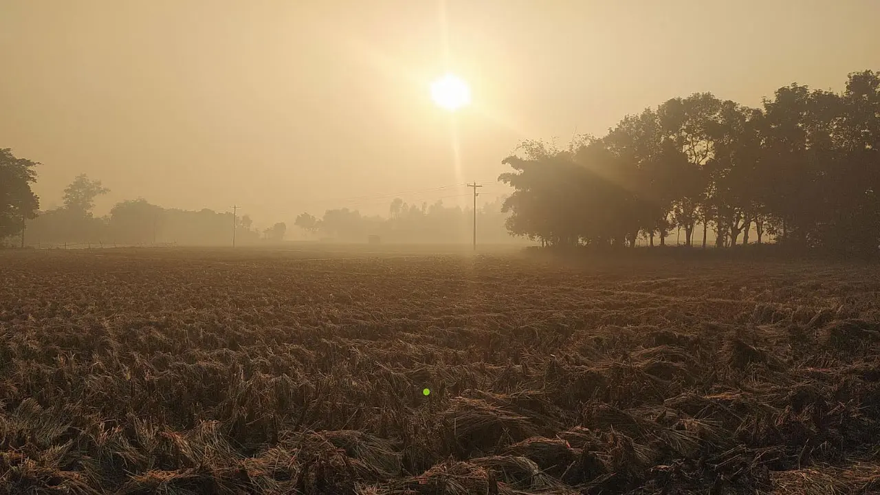 পঞ্চগড়ে বাড়ছে শীতের তীব্রতা, তাপমাত্রা নামল ১২ ডিগ্রিতে
