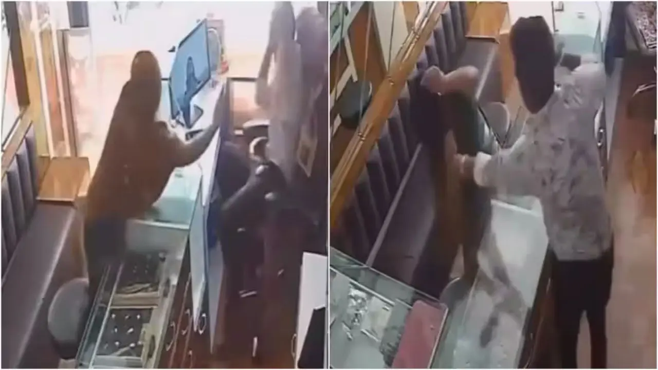 মরিচ ছিটিয়ে ডাকাতির চেষ্টা, নারীকে ২৫ সেকেন্ডে ২০ থাপ্পড় দোকানির (ভিডিও)