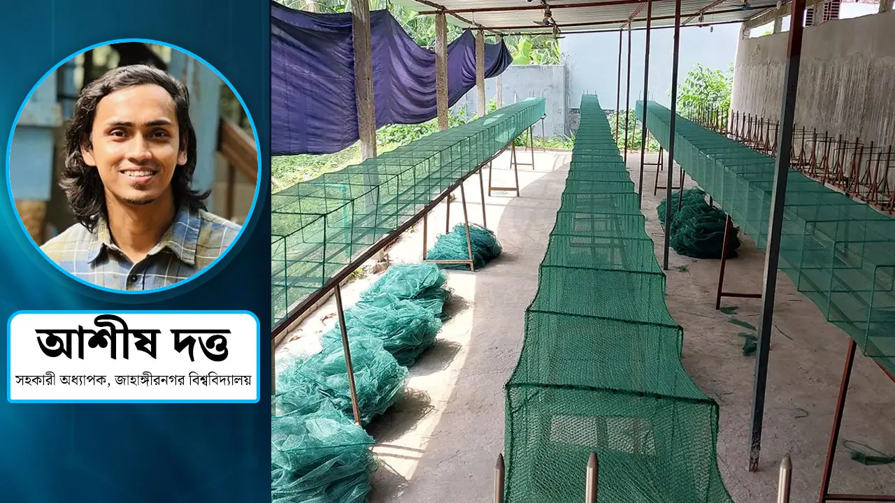 চায়না দুয়ারী জালের দৌরাত্ম্যে বিপন্ন জলজ প্রাণ ও মানুষের জীবন জীবিকা