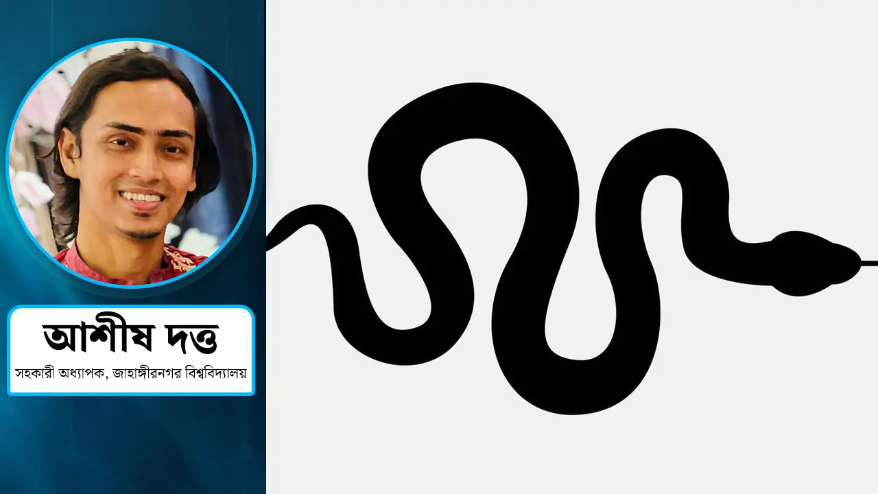 রাজধানীর বাসাবাড়িতে বেড়েছে সাপের উপদ্রব, কেন?