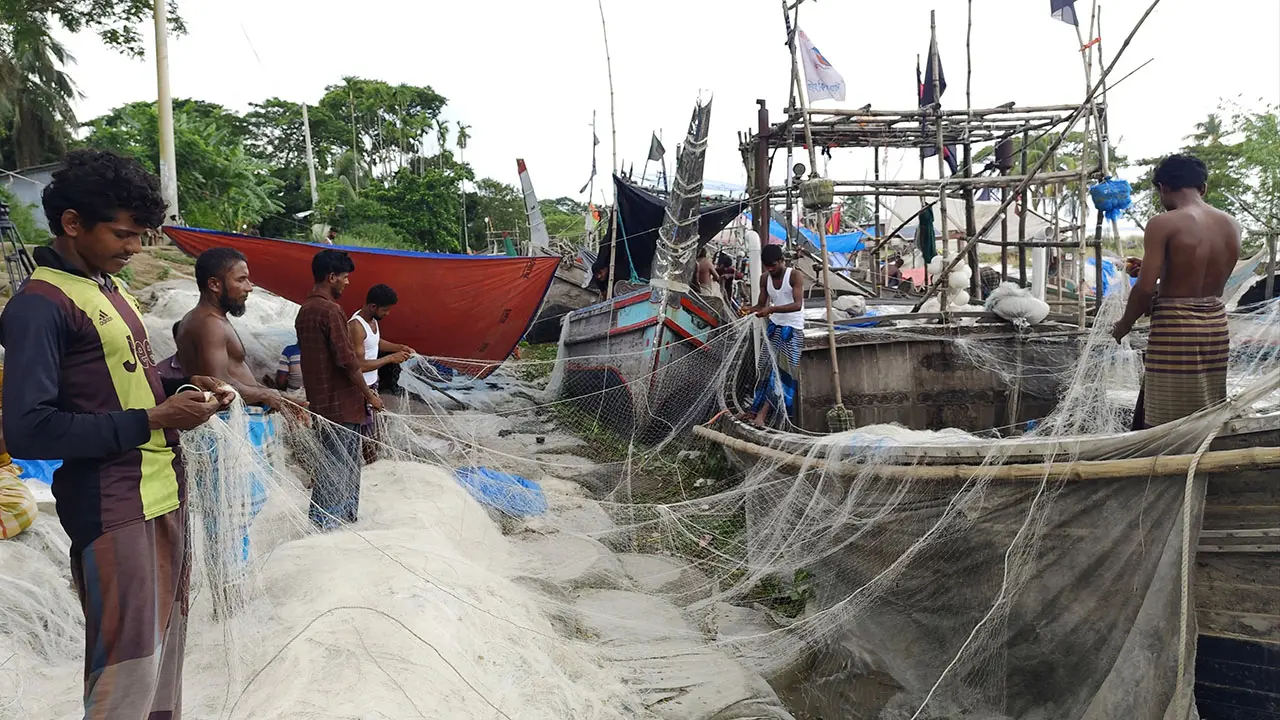 শেষ হচ্ছে ইলিশ ধরায় নিষেধাজ্ঞা, ক্ষতি পুষিয়ে নেওয়ার আশা জেলেদের