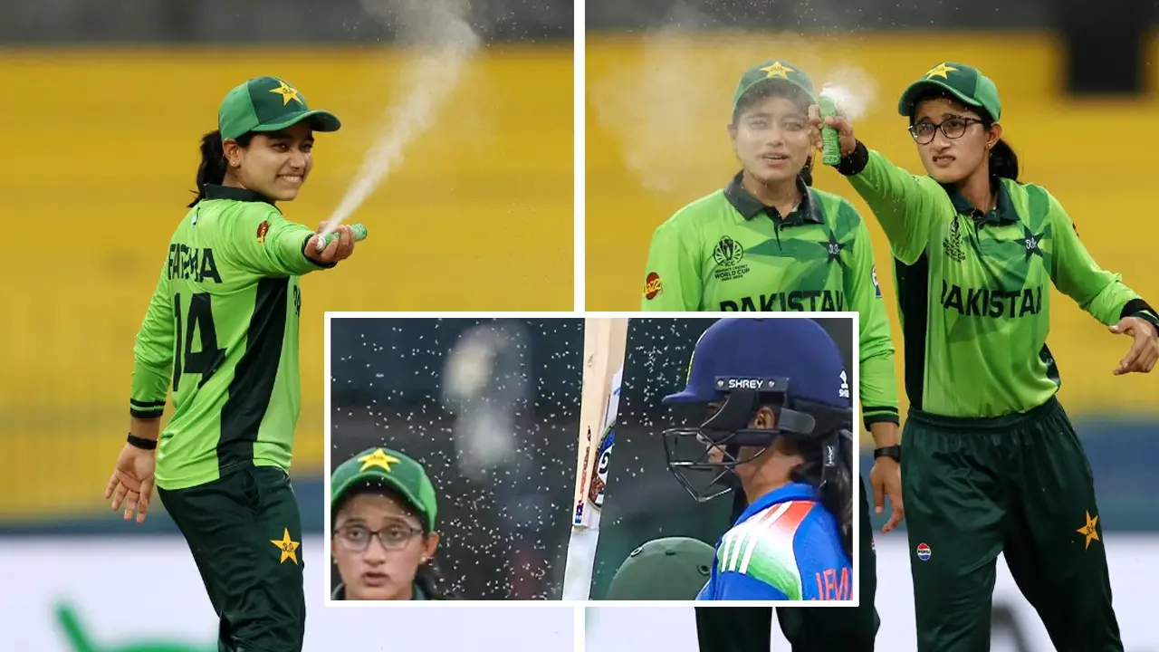 মশার উৎপাতে বন্ধ ভারত-পাকিস্তান ম্যাচ, করা হলো স্প্রে
