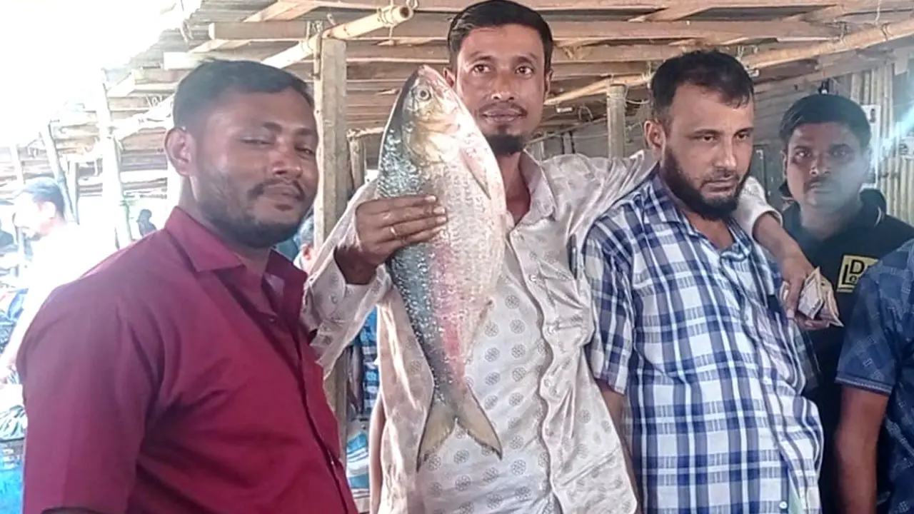 আড়াই কেজির এক ইলিশের দাম ৯২০০ টাকা