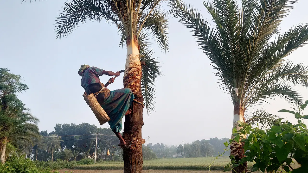 হেমন্ত বিদায়ের হাতছানিতে শীতের আগমনী বার্তা