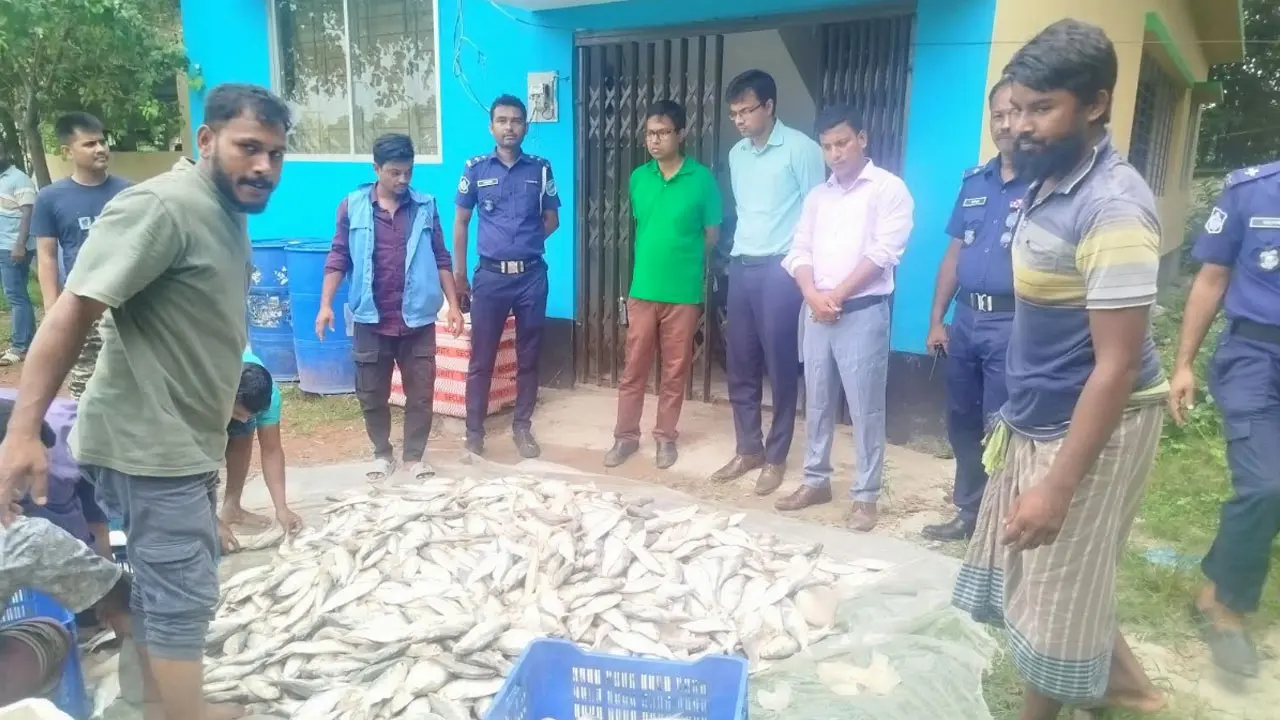 শরীয়তপুরে যৌথবাহিনীর অভিযানে ৪০০ কেজি ইলিশ জব্দ