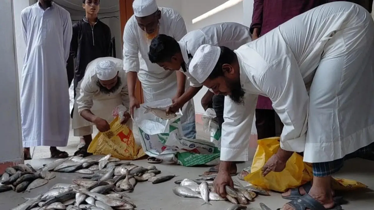 ইলিশ কিনে ফেরার পথে চারজন আটক, ১৫ হাজার টাকা জরিমানা