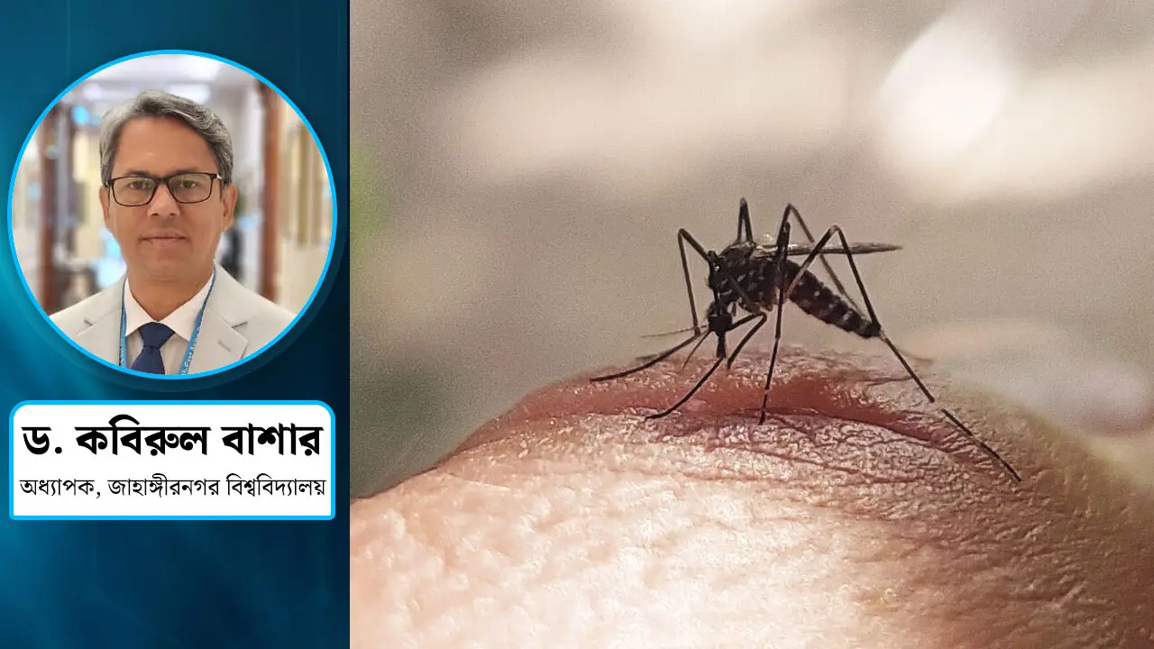 এডিস মশার ঘনত্ব বাড়ছে, আসন্ন বিপদ ঠেকাবে কে?