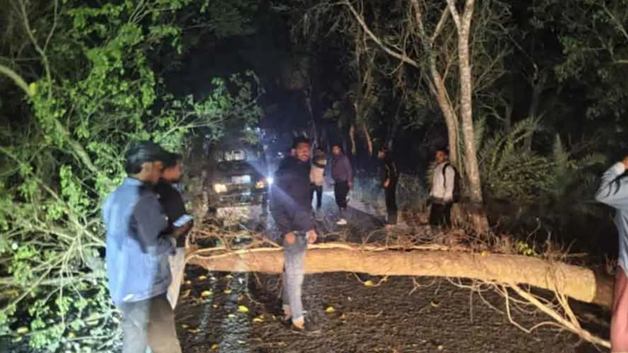 কখনো সড়কে গাছ ফেলে পথরোধ, কখনো দোকানের তালা ভেঙে লুটপাট