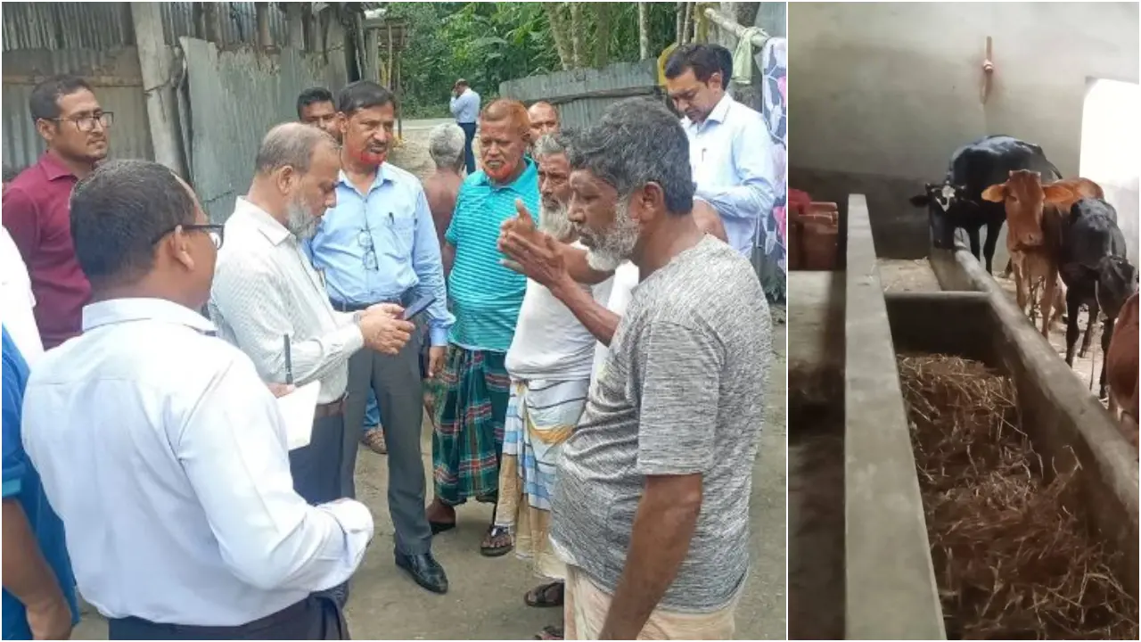 বাড়ছে অ্যানথ্রাক্স আতঙ্ক, রংপুর-গাইবান্ধায় অনুসন্ধান দল