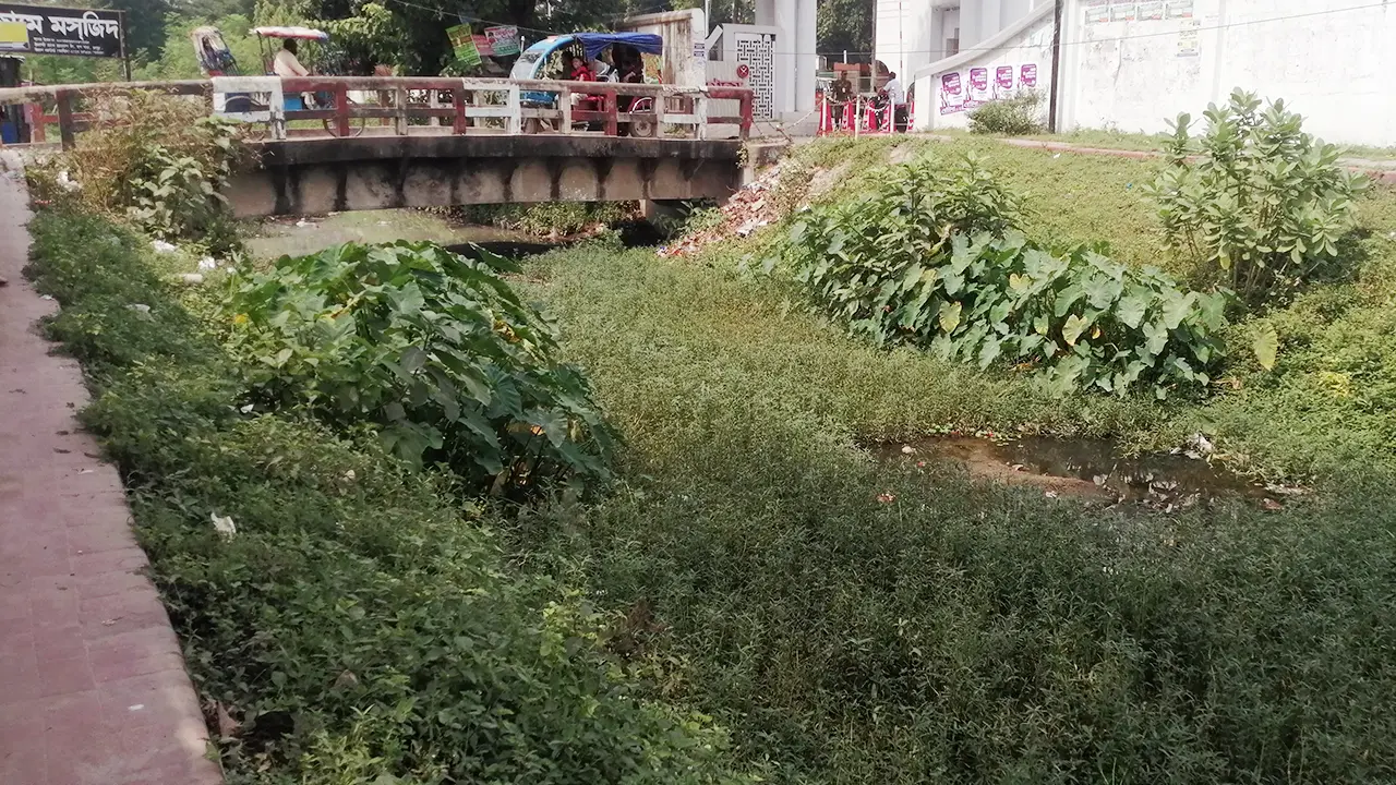 ১৫ বছরেও প্রতিষ্ঠা হয়নি পরিবেশ আদালত, থামছে না দূষণকারীরা