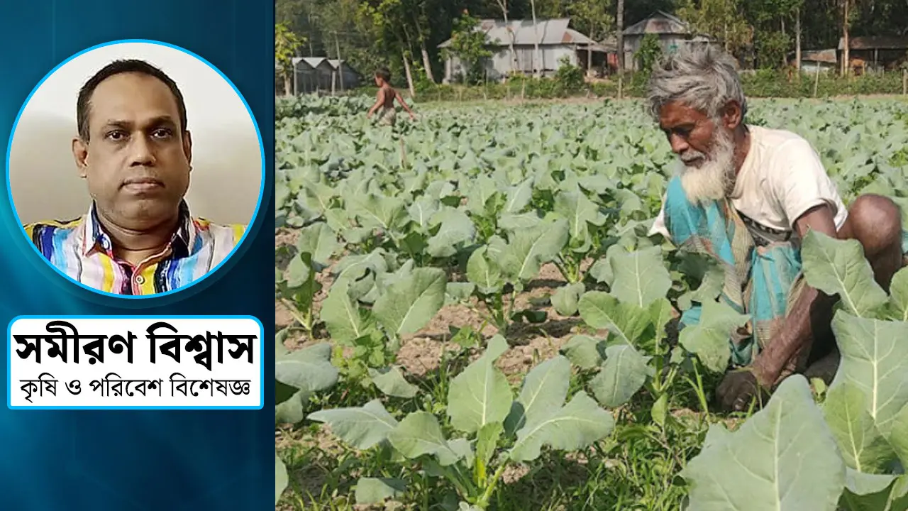 শীতকালীন রবি ফসল ও চাষাবাদের গুরুত্ব