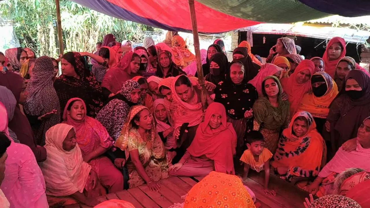 মেহেরপুরে সাপের কামড়ে শিশুর মৃত্যু