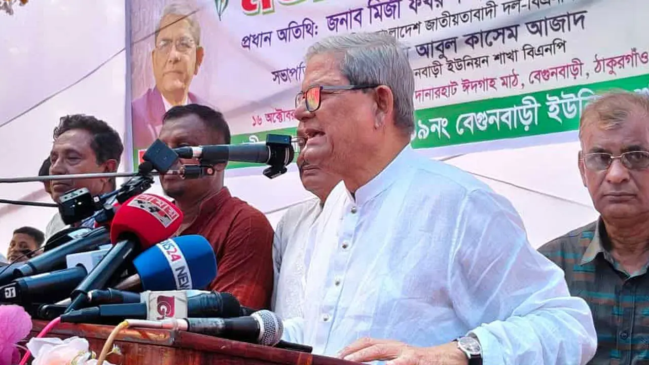 অন্তর্বর্তীকালীন সরকার দুর্বল, পেছনে কোনো লোক নেই