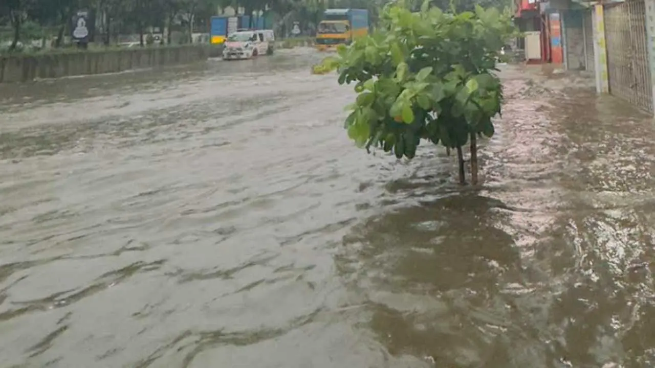 ঢাকায় ২০৬ মিলিমিটার বৃষ্টি, আজও বজ্রসহ বৃষ্টির আভাস