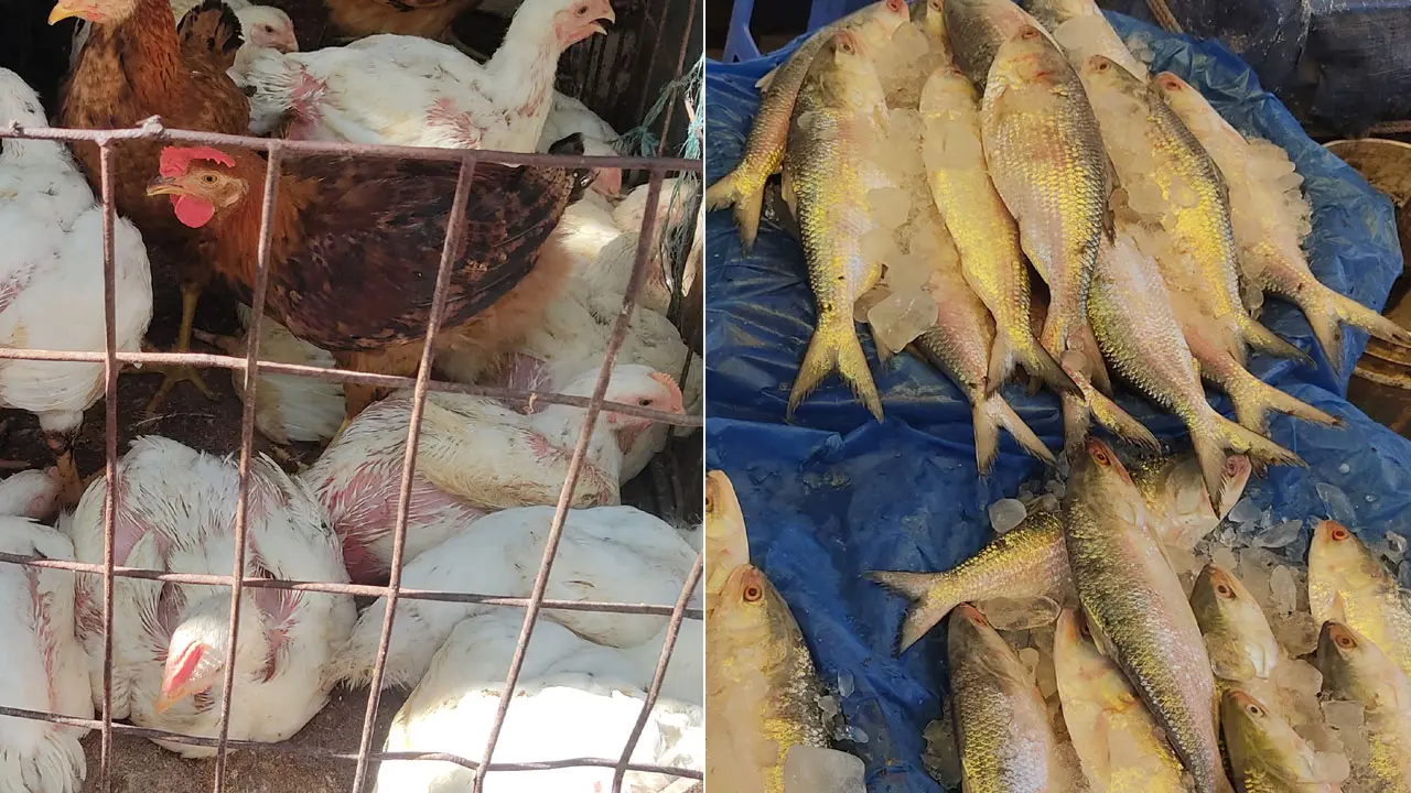 ব্রয়লার ১৬৫, ভরা মৌসুমেও ইলিশের দাম চড়া