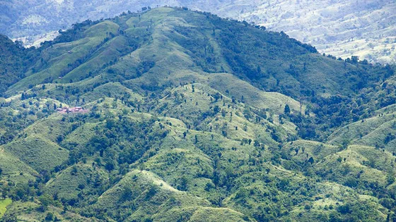 ১ অক্টোবর খুলছে না কেওক্রাডং পর্যটন কেন্দ্র