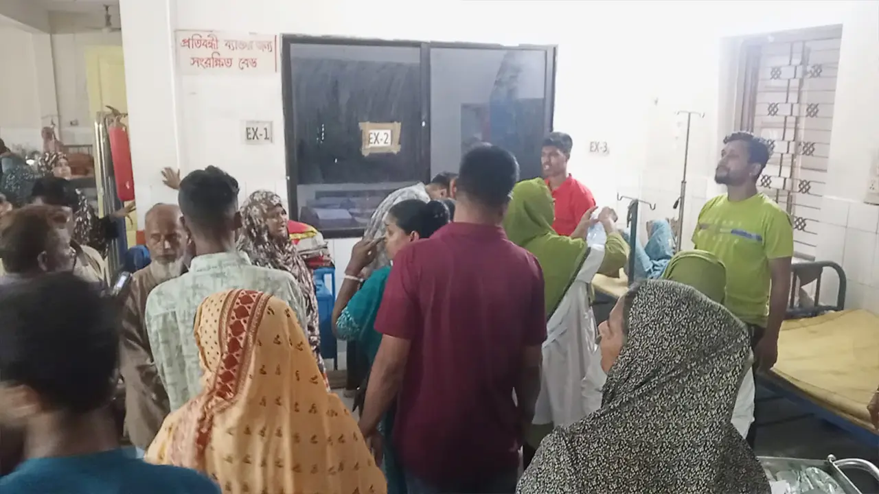 চুয়াডাঙ্গায় আপন দুই ভাইকে কুপিয়ে ও পিটিয়ে হত্যা