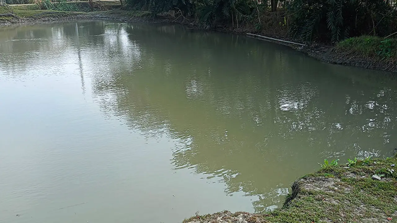 নওগাঁয় পানিতে ডুবে প্রাণ গেল দুই শিশুর