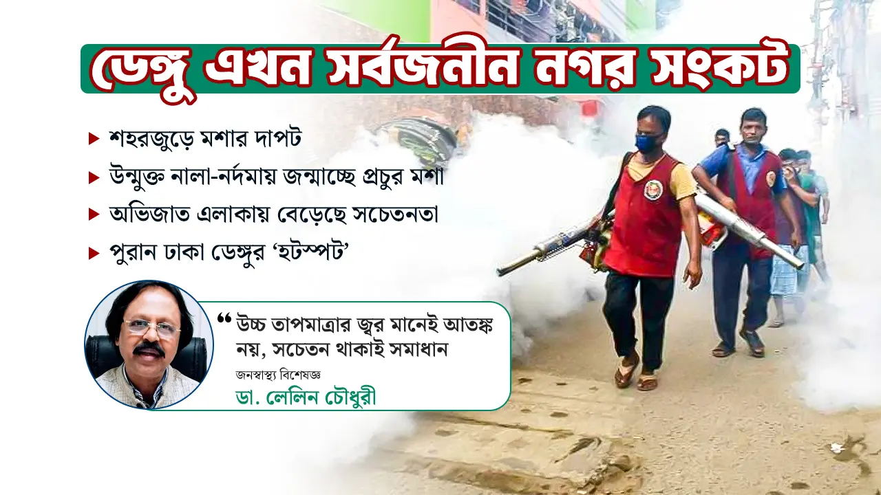 ঘরে-বাইরে মশার দাপট, ডেঙ্গু আতঙ্কে ঢাকাবাসী