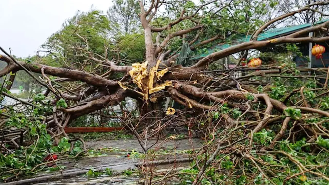 টাইফুন বুয়ালোই : ভিয়েতনামে নিহত ১৯, নিখোঁজ ২১