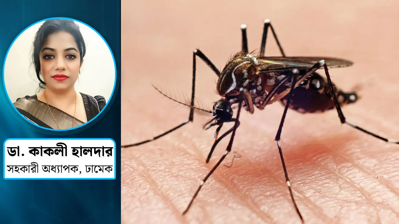 ডেঙ্গু : পরিচিত এক শত্রুর বিরুদ্ধে অসম যুদ্ধ