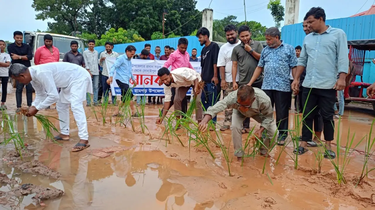 খাগড়াছড়িতে সড়কে ধানের চারা রোপণ করে প্রতিবাদ