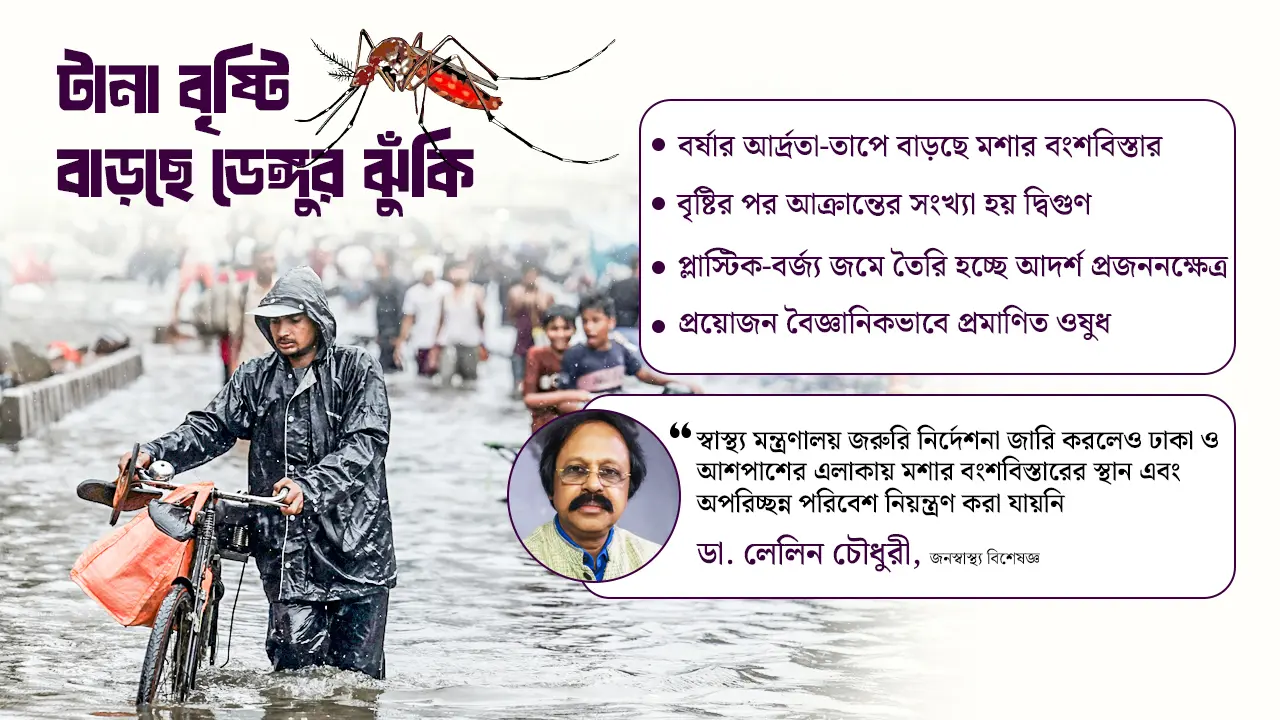 বৃষ্টিতে বাড়ছে ডেঙ্গুর ঝুঁকি, সমাধান কোথায়?
