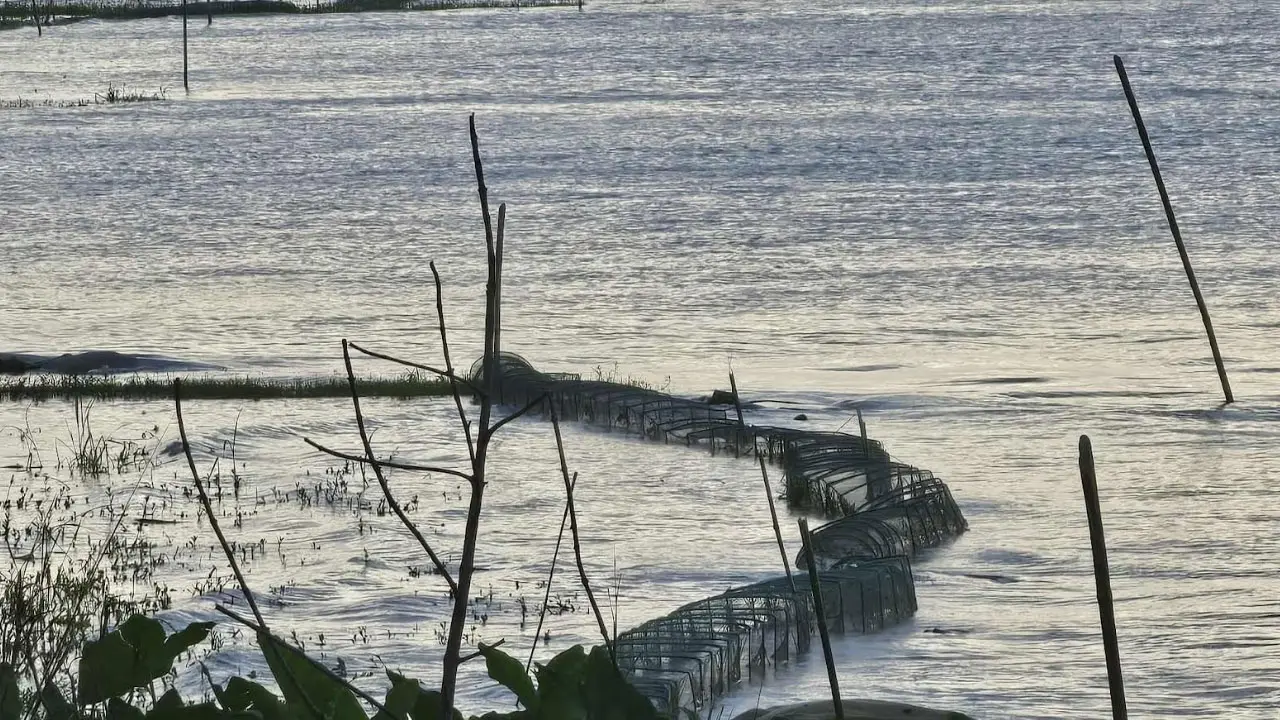 চায়না দুয়ারীতে সয়লাব পদ্মা নদী, মৎস্য বিভাগ উদাসীন