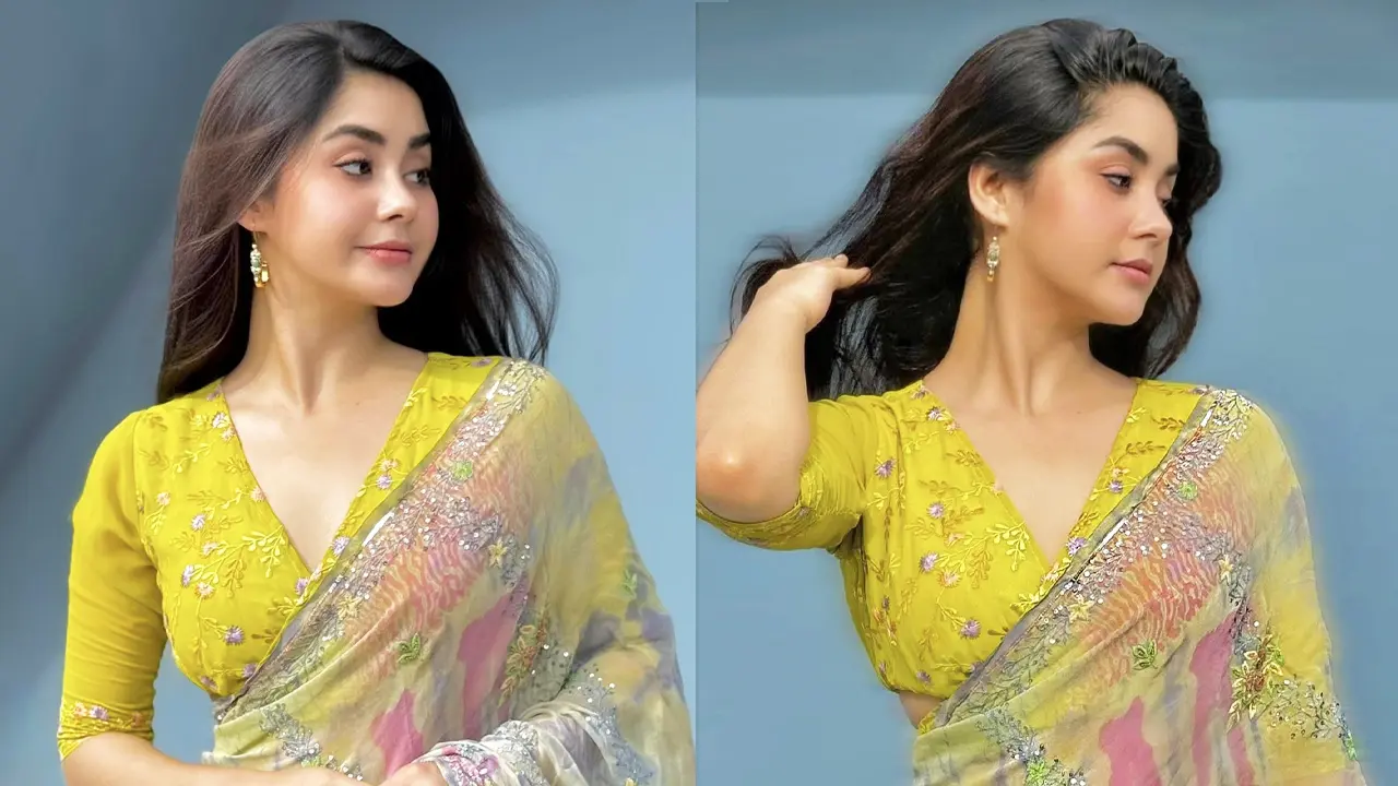 এবার শাড়িতে রাঙিয়ে দিলেন রোজা