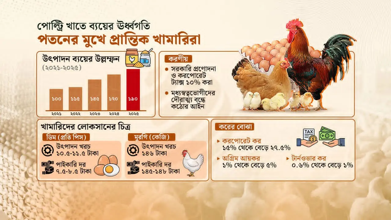 সংকটে পোল্ট্রি শিল্প : খরচ, কর ও সিন্ডিকেটের ত্রিমুখী চাপ